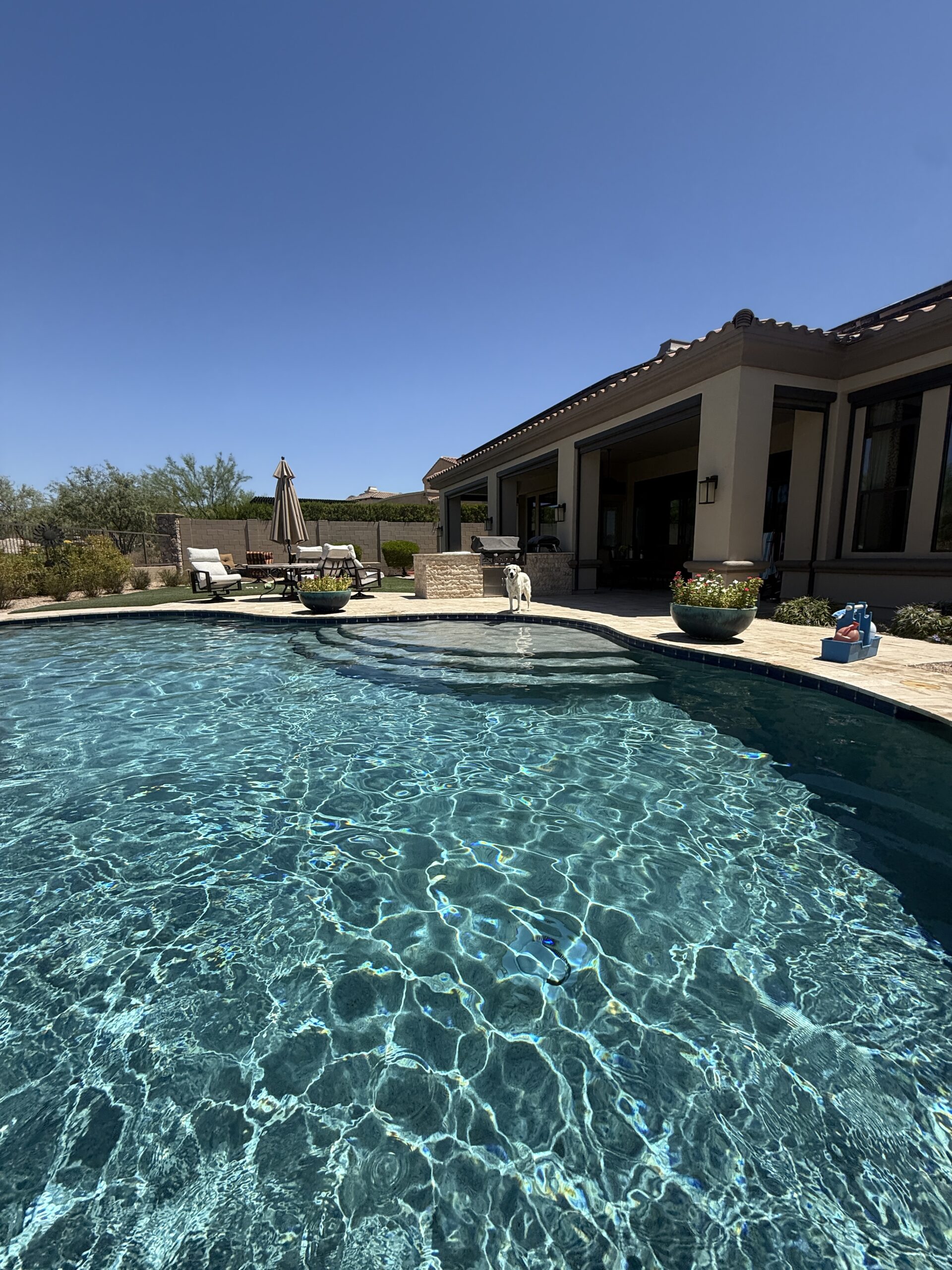 Serviced pool